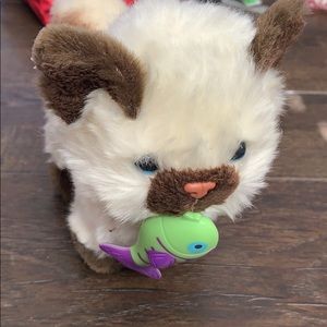 american girl cat with magnetic fish